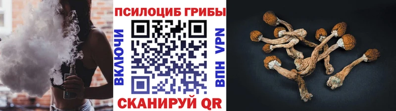 Псилоцибиновые грибы Cubensis  сколько стоит  Волгореченск 