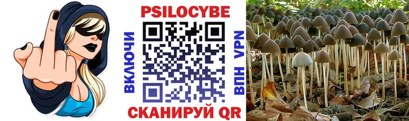 Псилоцибиновые грибы Cubensis Волгореченск