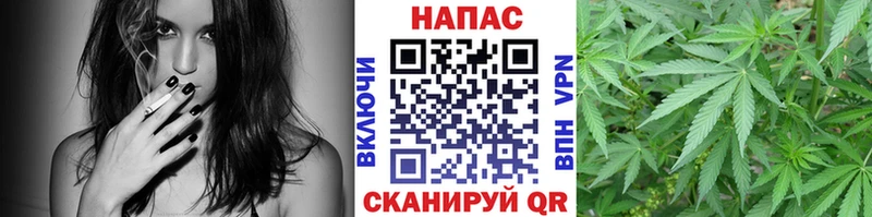 МАРИХУАНА ГИДРОПОН  Волгореченск 
